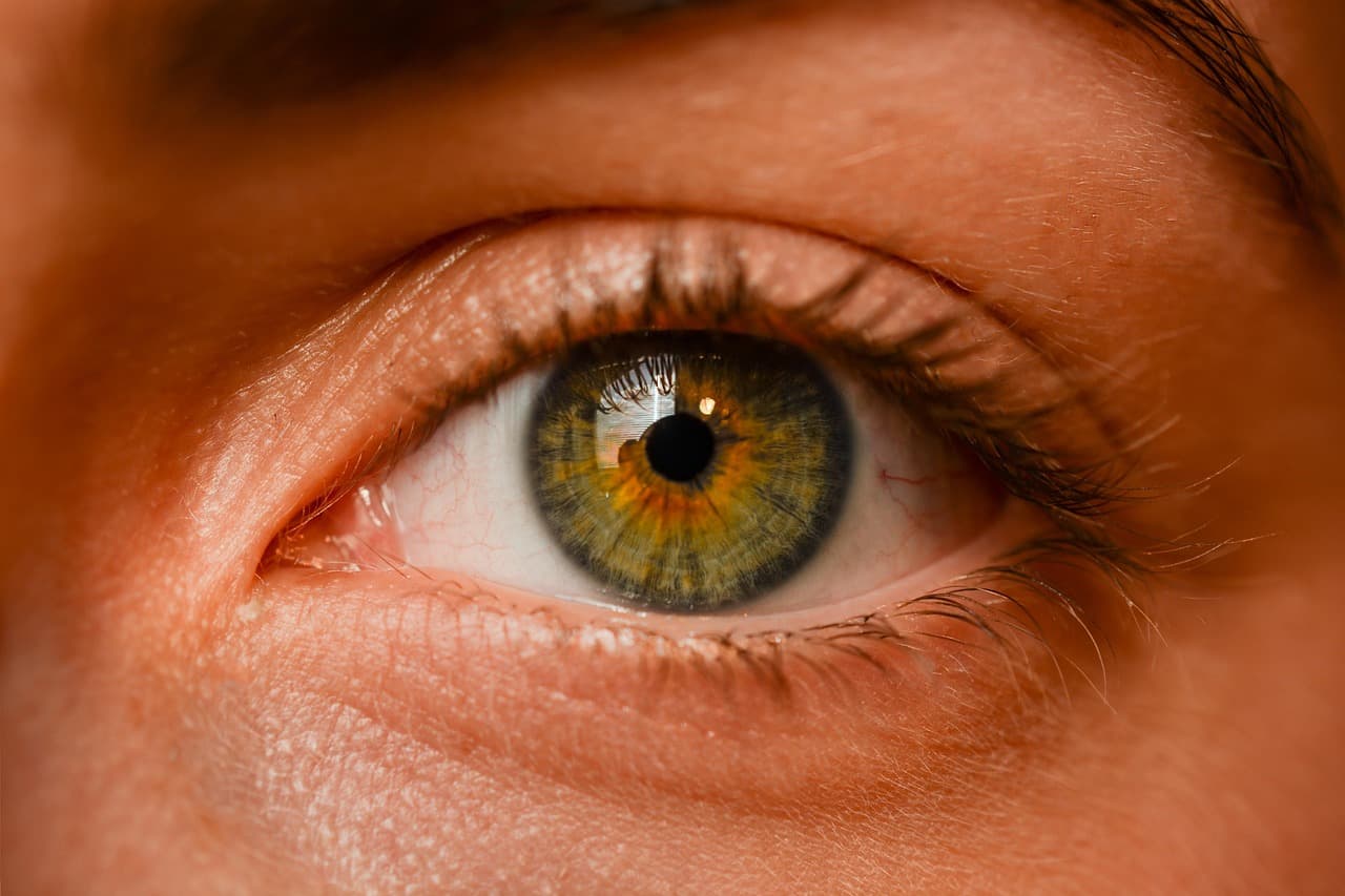Close-up of a full, defined brow above a green eye