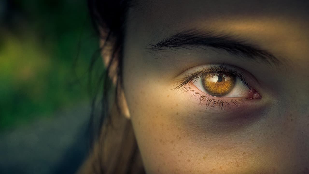 Close-up of a shaped eyebrow above a brown eye